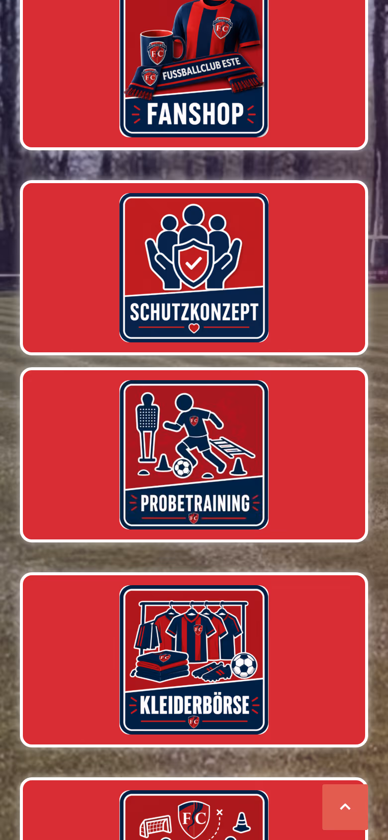 Ausschnitt weiter unten auf der Seite von FC Este auf dem Handy